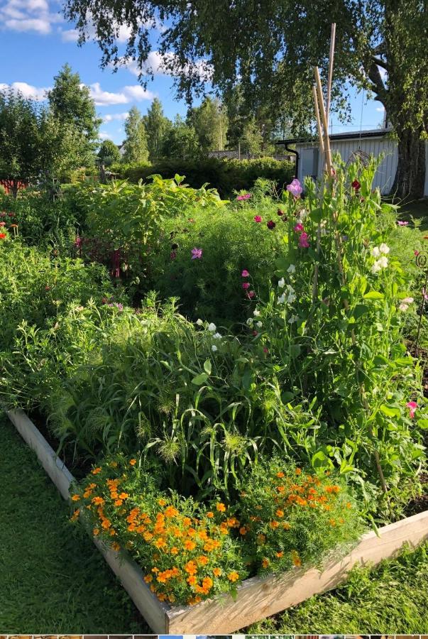 شقة Torpgarden Oennerudsvaegen 56 تورسبي المظهر الخارجي الصورة